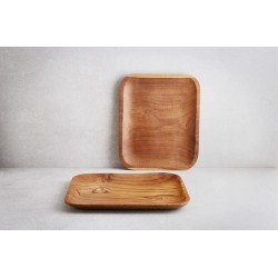 Cafeteria Plate(自助餐厅餐盘)